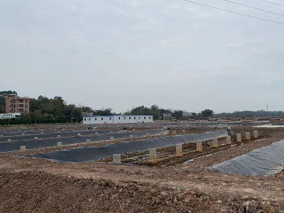 鹽城徐總拿下新棚，購買40臺恩拓博高速增氧機