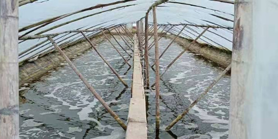 水產(chǎn)養(yǎng)殖中常見的那些增氧方式！