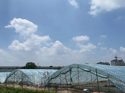 恩拓博高速增氧機上海使用案例！