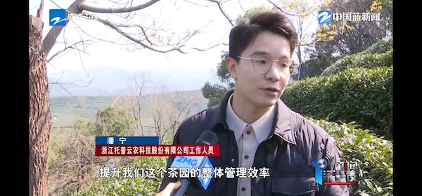 春茶開采正當(dāng)時(shí)！揭秘托普云農(nóng)如何用科技“制”出一杯數(shù)字好茶