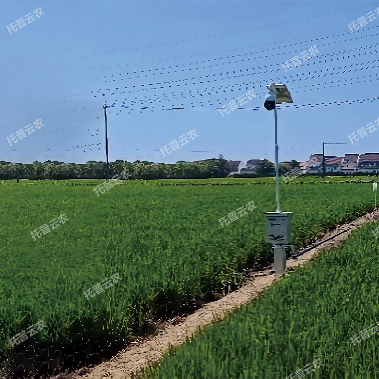自動趕蛾智能統(tǒng)計(jì)桿